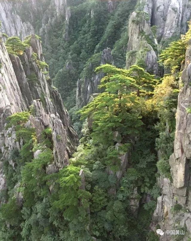 紫牛AI生活 | 江浙多地宣布春节假期道路停车位免费